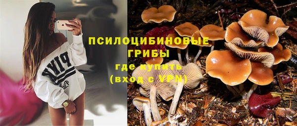 mdpv Верхний Тагил
