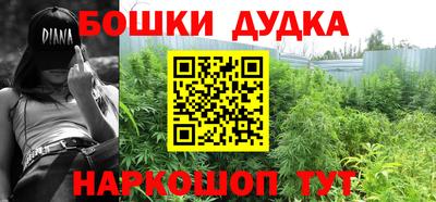амф Сланцы