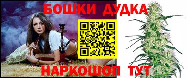 амф Сланцы