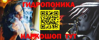 амф Сланцы