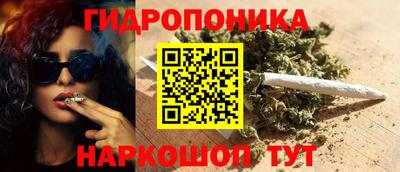 дмт Славгород