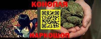 дмт Славгород