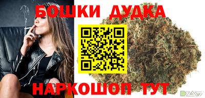 дмт Славгород