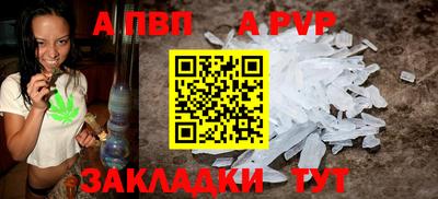 амф Сланцы
