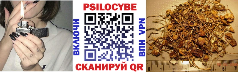 купить наркотики цена  Одинцово  Галлюциногенные грибы мицелий 